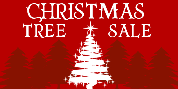 who sells christmas trees